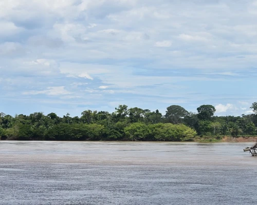 Un proyecto de ordenanza en Guaviare plantea su salida de la región amazónica y genera alerta entre comunidades, expertos y organizaciones ambientales por sus posibles impactos ecológicos.
