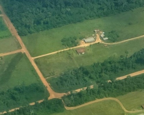 Sobrevuelos e investigaciones muestran la expansión de áreas deforestadas en Ucayali y Loreto