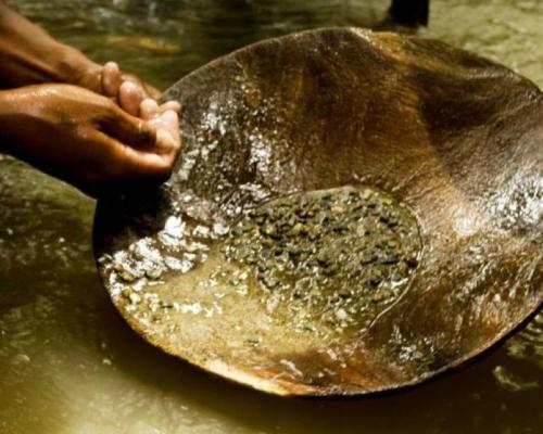 Informe revela que varias empresas con alta producción aurífera operan bajo el régimen de pequeños productores, dificultando el control de la minería ilegal en Perú.