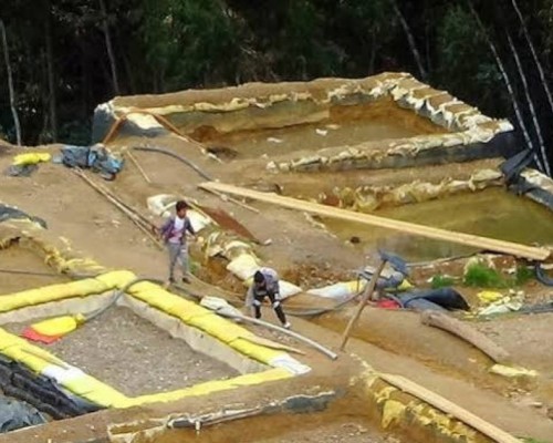 El aumento del precio del oro podría incrementar las ganancias de la minería ilegal y fortalecer las redes del crimen organizado