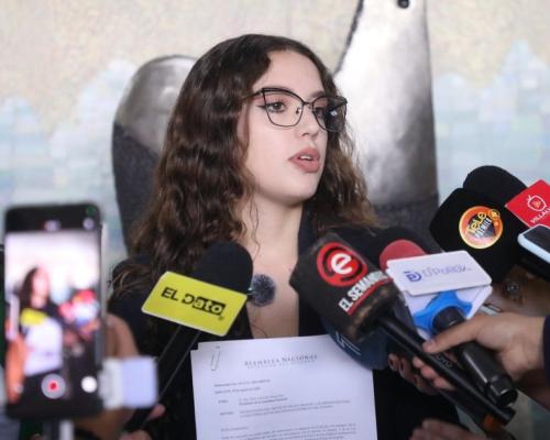 Presentó el ‘Proyecto de Ley Orgánica de Repetición’
