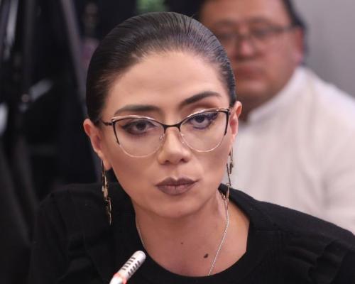 La legisladora denunció agravios por parte de Luisa González