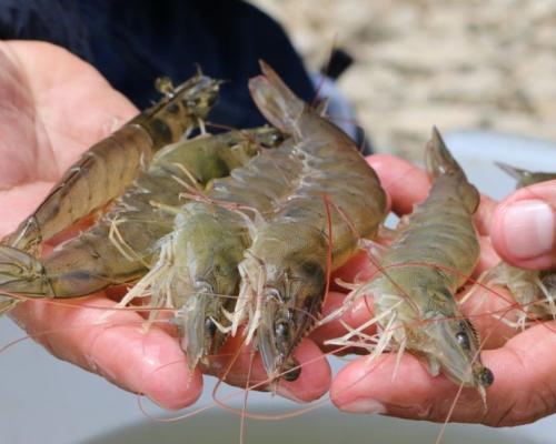 Las principales noticias del día de hoy en Ecuador