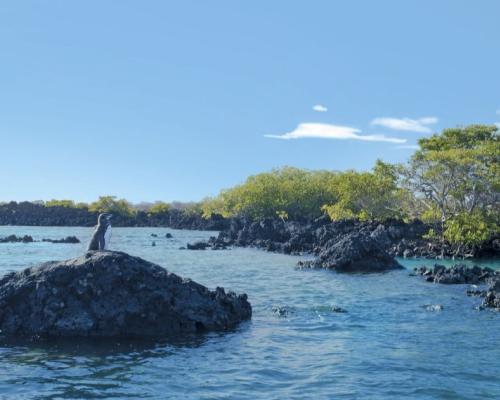 Las principales noticias del día de hoy en Ecuador