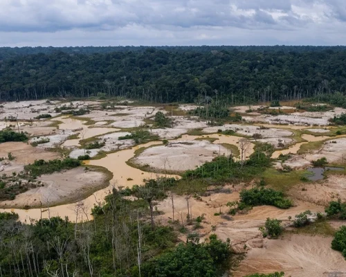 La expansión agrícola se consolidó como la principal causa de pérdida de bosques amazónicos durante 2025