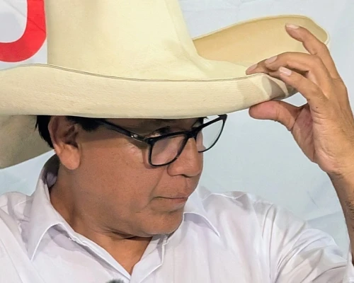 El candidato presidencial y líder de Juntos por el Perú cuestionó el decreto que fortaleció las penas y amplió las sanciones a toda la cadena de la minería ilegal.