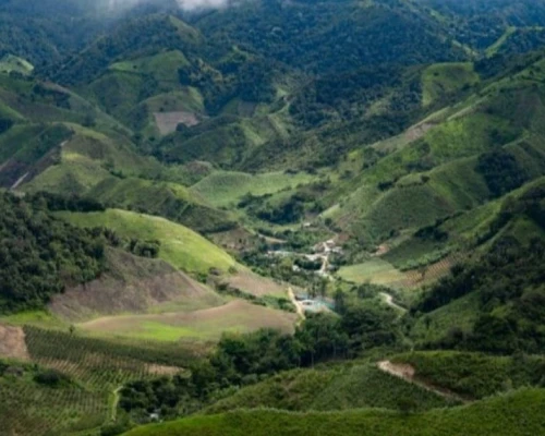 Llurimagua podría generar más de USD 2.000 millones anuales en exportaciones