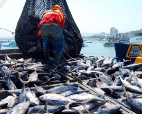 Subrayó que los términos y plazos presidenciales deben cumplirse sin presiones ni amenazas / Foto: cortesía Presidencia 