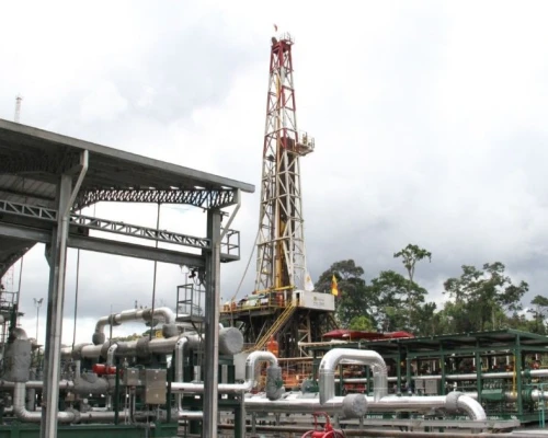 Subrayó que los términos y plazos presidenciales deben cumplirse sin presiones ni amenazas / Foto: cortesía Presidencia 