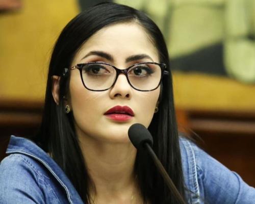 Preside la Comisión de Protección de la Niñez y Adolescencia de la Asamblea Nacional