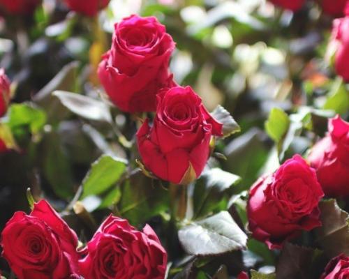 Las principales noticias del día de hoy en Ecuador