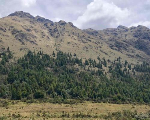 El proyecto de Loma Larga tiene una inversión prevista de hasta 500 millones de dólares