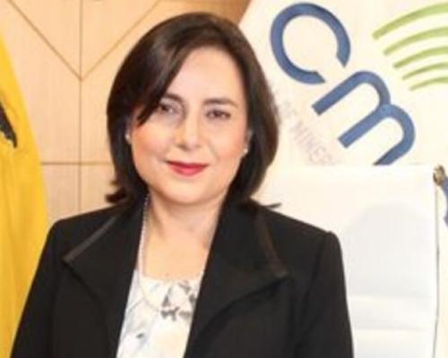 La presidenta de la Cámara de Minería del Ecuador analizó la nueva tasa minera
