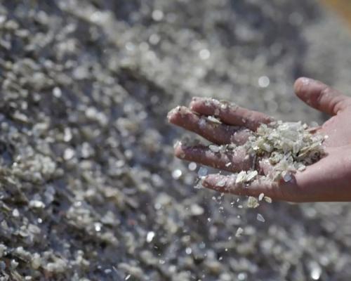 Solo el 7 % del territorio nacional está concesionado