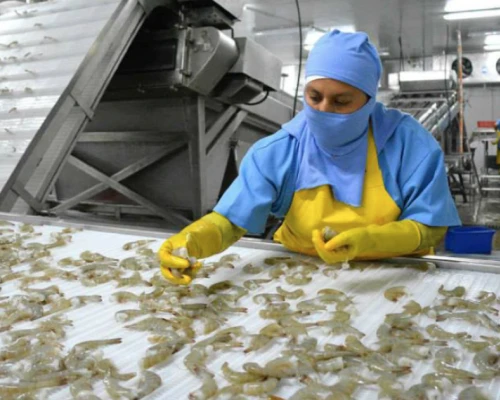 Subrayó que los términos y plazos presidenciales deben cumplirse sin presiones ni amenazas / Foto: cortesía Presidencia 