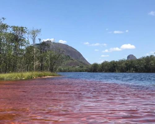 El Caño San Joaquín es un paraíso para los amantes de la naturaleza y la observación de aves en la amazonía colombiana.