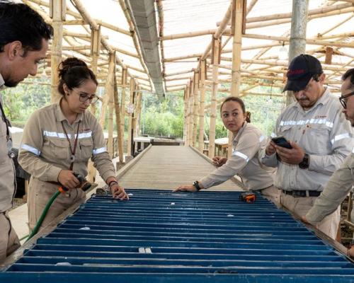 SolGold estima una inversión total de $ 4.200 millones