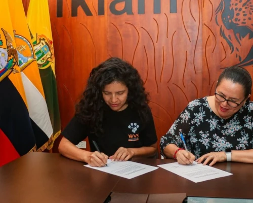 Subrayó que los términos y plazos presidenciales deben cumplirse sin presiones ni amenazas / Foto: cortesía Presidencia 