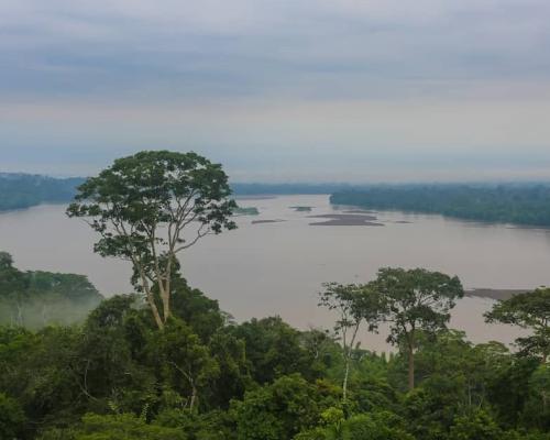 La Nawe expresó preocupación por intentos de contacto pacífico con taromenane