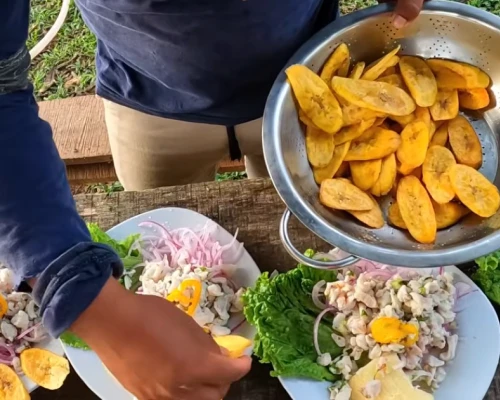 El ceviche elaborado con carne de caimán forma parte de la cocina amazónica, hoy bajo debate por su impacto ambiental y su regulación