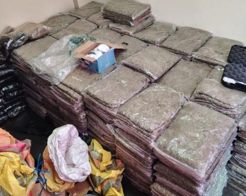 La Policía calcula que con la droga incautada afectaron en más de medio millón de dólares a la economía criminal.