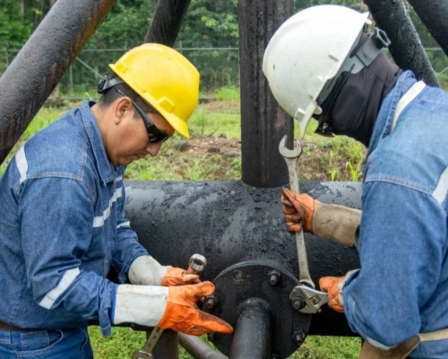 Subrayó que los términos y plazos presidenciales deben cumplirse sin presiones ni amenazas / Foto: cortesía Presidencia 