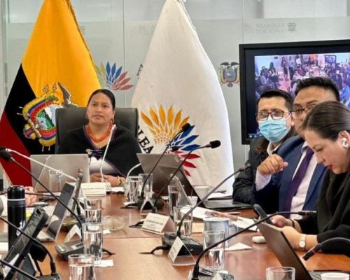 El documento será remitido al presidente de la Asamblea, Niels Olsen