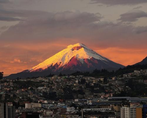 Subrayó que los términos y plazos presidenciales deben cumplirse sin presiones ni amenazas / Foto: cortesía Presidencia 