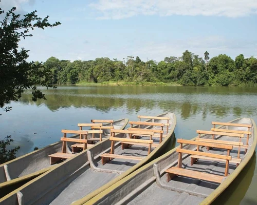 Subrayó que los términos y plazos presidenciales deben cumplirse sin presiones ni amenazas / Foto: cortesía Presidencia 