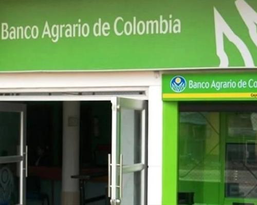 Banco Agrario deja de ser el operador de pagos para Renta Ciudadana y Colombia Mayor en 2026. Conozca dónde cobrar ahora su subsidio y cómo consultar el nuevo punto asignado.