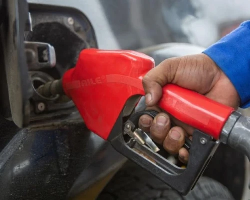 Subrayó que los términos y plazos presidenciales deben cumplirse sin presiones ni amenazas / Foto: cortesía Presidencia 