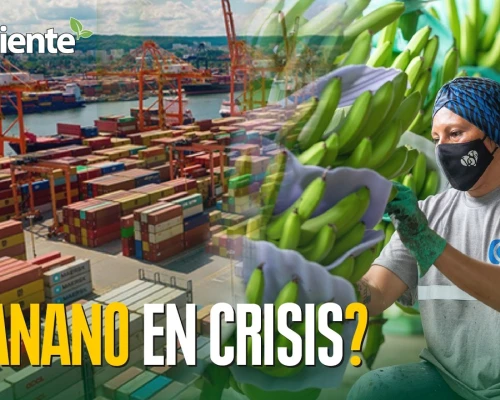 Subrayó que los términos y plazos presidenciales deben cumplirse sin presiones ni amenazas / Foto: cortesía Presidencia 