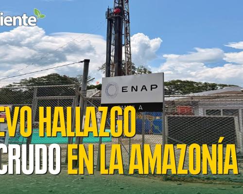 Subrayó que los términos y plazos presidenciales deben cumplirse sin presiones ni amenazas / Foto: cortesía Presidencia 