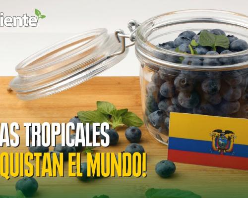 Subrayó que los términos y plazos presidenciales deben cumplirse sin presiones ni amenazas / Foto: cortesía Presidencia 