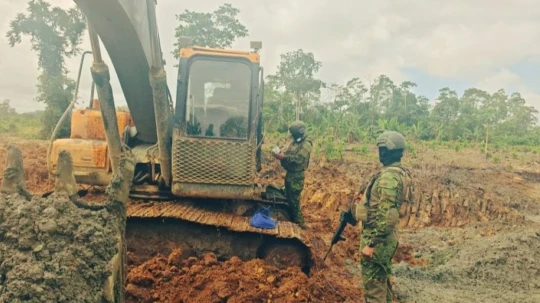 La extracción ilícita de oro genera ingresos comparables e incluso superiores a los del narcotráfico en algunas regiones del país