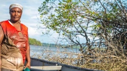 El país alcanzó un total de 101.099 hectáreas bajo custodia comunitaria