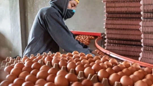 Las principales noticias del día de hoy en Ecuador