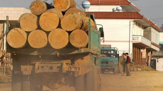 La clasificación forma parte esencial de la Ley contra la Deforestación Importada de la UE