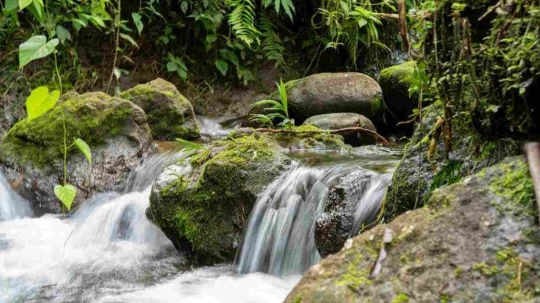 El objetivo reducir la vulnerabilidad de comunidades rurales frente a los efectos del cambio climático