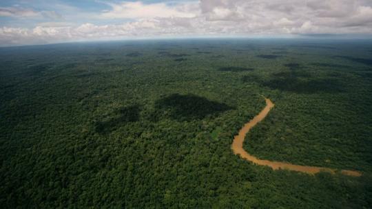 El mecanismo permitirá destinar aproximadamente USD 460 millones durante los próximos 17 años para la conservación de la Amazonía