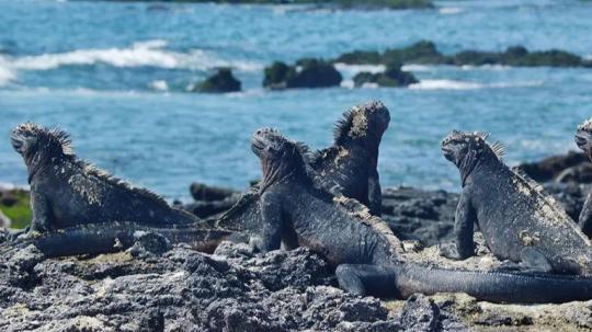 La inversión fue destinada a reforzar la conservación marina, la gestión institucional y la participación comunitaria del archipiélago