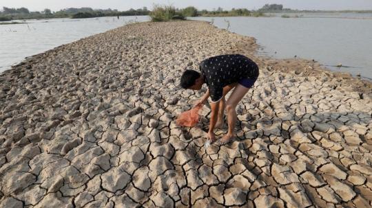 Este hallazgo forma parte de una investigación publicada en la revista Nature Reviews on Earth and Environment