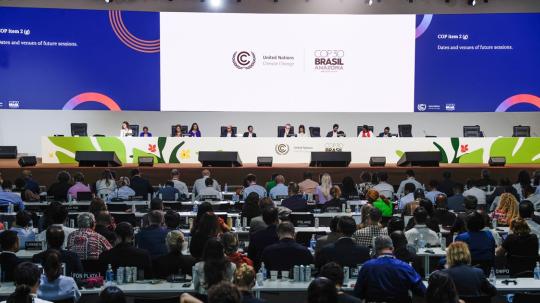 El pleno de la COP30 también aprobó un documento con una lista definitiva de "indicadores" para medir los avances en las acciones de adaptación ante el cambio climático.