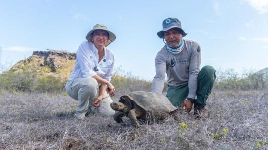 La reintroducción se da tras más de una década de acciones orientadas a la restauración del ecosistema de Floreana