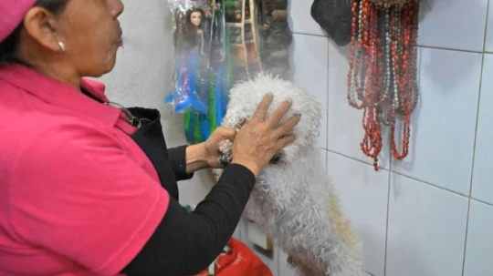 IMAGE CAPTION