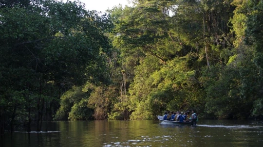 Algunas de las especies cuentan con escasa documentación previa en el país