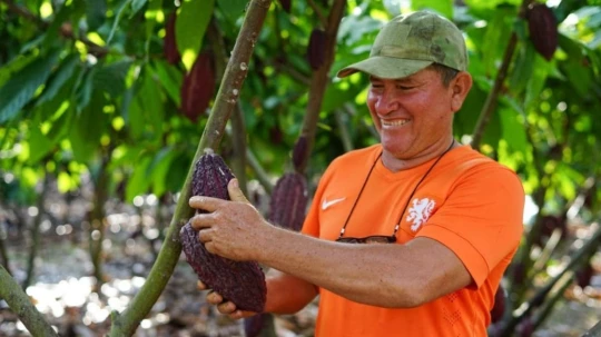 El cacao es uno de los principales rubros de exportación del país, con ingresos que superaron los 4.200 millones de dólares en 2025