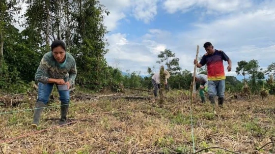 En Ecuador, las chakras son parte fundamental de la vida de comunidades indígenas de la provincia de Napo