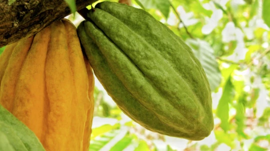 Las principales noticias del día de hoy en Ecuador