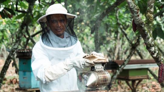 Nestlé está impulsando una estrategia de Creación de Valor Compartido que sitúa al agro como eje central
